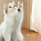 🔥50 % de réduction jusqu'à épuisement des stocks !🎉Balle rebondissante interactive pour chat avec ressort