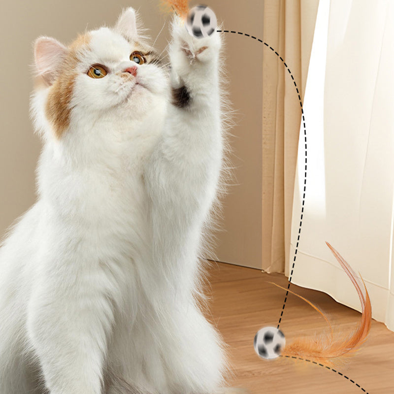 🔥50 % de réduction jusqu'à épuisement des stocks !🎉Balle rebondissante interactive pour chat avec ressort