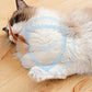 🔥50 % de réduction jusqu'à épuisement des stocks !🎉Balle rebondissante interactive pour chat avec ressort