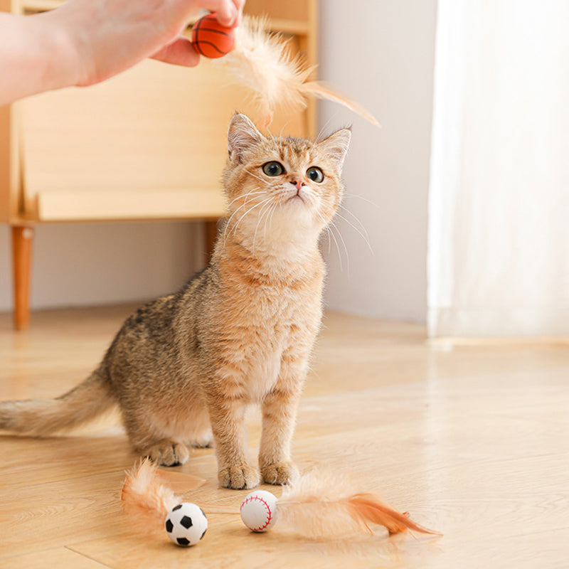 🔥50 % de réduction jusqu'à épuisement des stocks !🎉Balle rebondissante interactive pour chat avec ressort