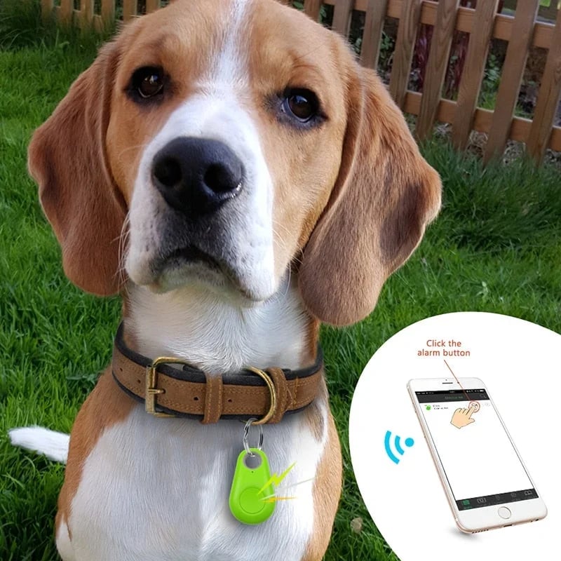 Traceur Sans Fil Bluetooth