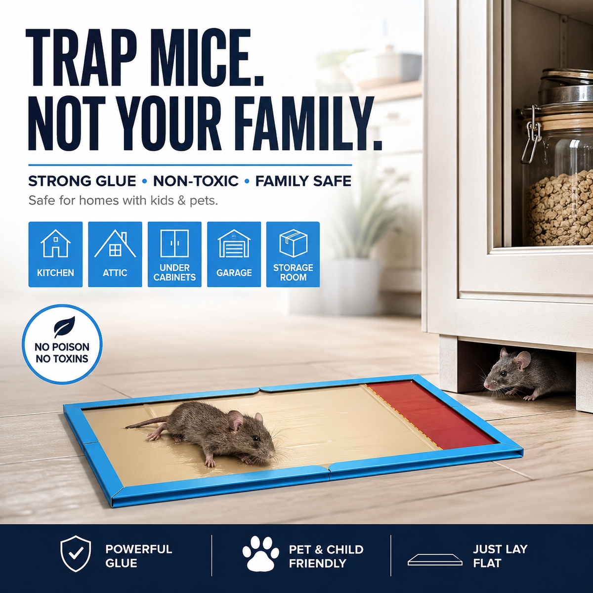 ⏳🔥50 % DE RÉDUCTION POUR UNE DURÉE LIMITÉE ! ⏰Piège à souris adhésif pour usage intérieur à la maiso