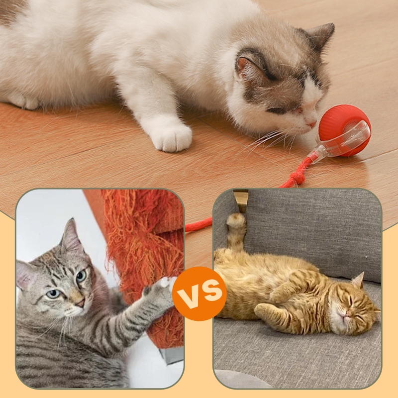 😻🐾 Balle intelligente interactive pour chat, gazouillante et roulante