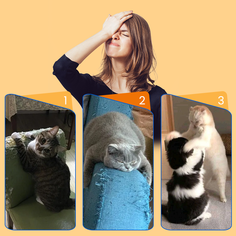 😻🐾 Balle intelligente interactive pour chat, gazouillante et roulante