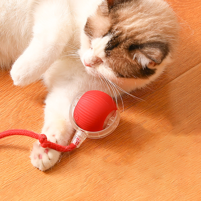 😻🐾 Balle intelligente interactive pour chat, gazouillante et roulante