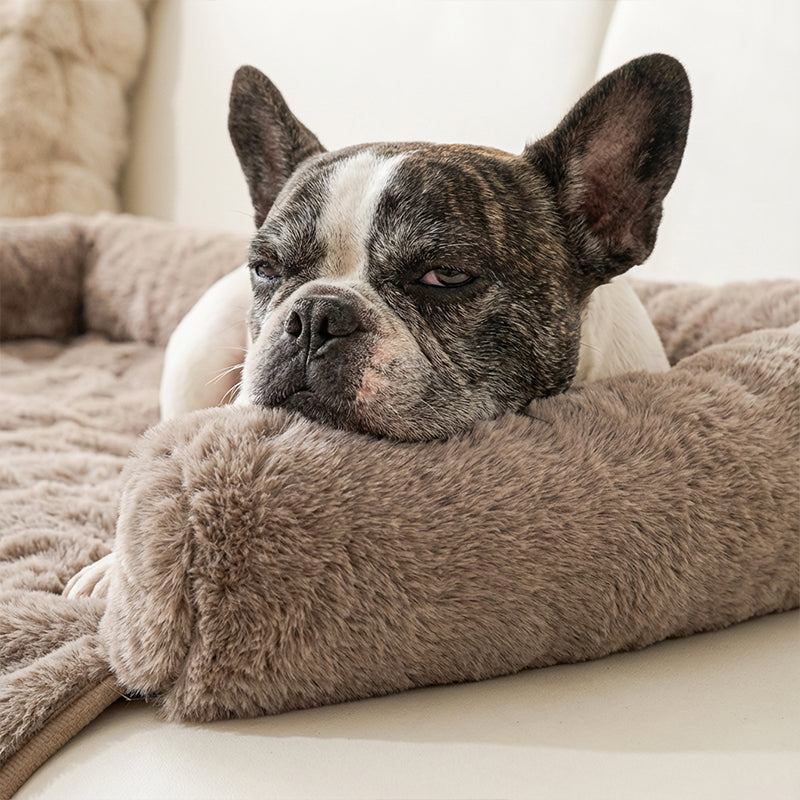 🐾 50% DE RÉDUCTION! 🛏️ Lit pour Animaux Épais – Chaud, Antidérapant & Bord Relevé Confortable 🧵