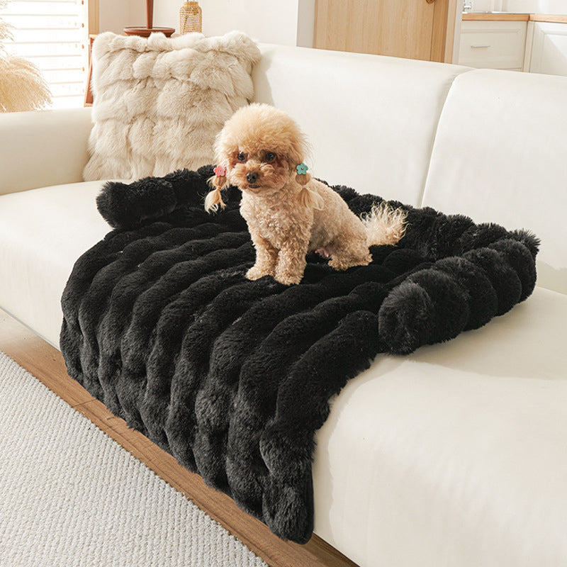 🐾 50% DE RÉDUCTION! 🛏️ Lit pour Animaux Épais – Chaud, Antidérapant & Bord Relevé Confortable 🧵