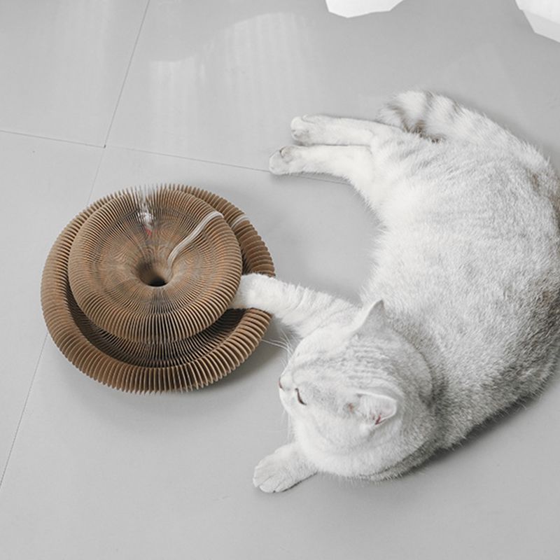 Griffoir accordéon magique pour chat
