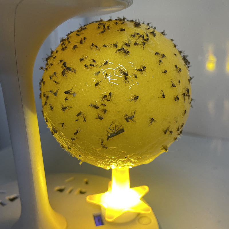 Boule piège à mouches des fruits adhésive avec support et LED