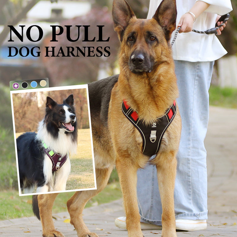 📢📢50% DE RÉDUCTION !! ⏰ Harnais Anti-Traction pour Chien avec Collier LED – Rembourrage Épais & Anneau en D Avant for des Promenades Sereines et Sécurisées ✨