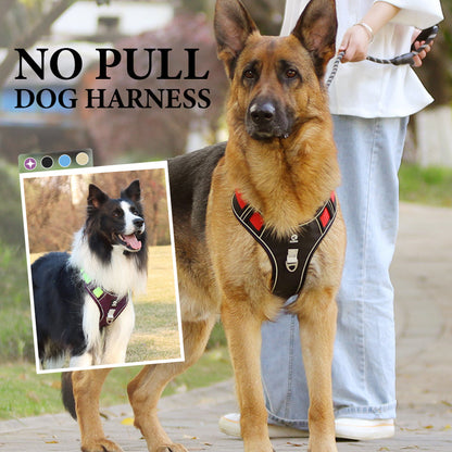 📢📢50% DE RÉDUCTION !! ⏰ Harnais Anti-Traction pour Chien avec Collier LED – Rembourrage Épais & Anneau en D Avant for des Promenades Sereines et Sécurisées ✨