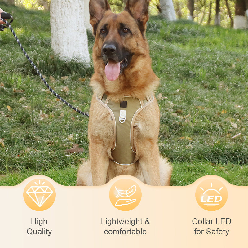 📢📢50% DE RÉDUCTION !! ⏰ Harnais Anti-Traction pour Chien avec Collier LED – Rembourrage Épais & Anneau en D Avant for des Promenades Sereines et Sécurisées ✨