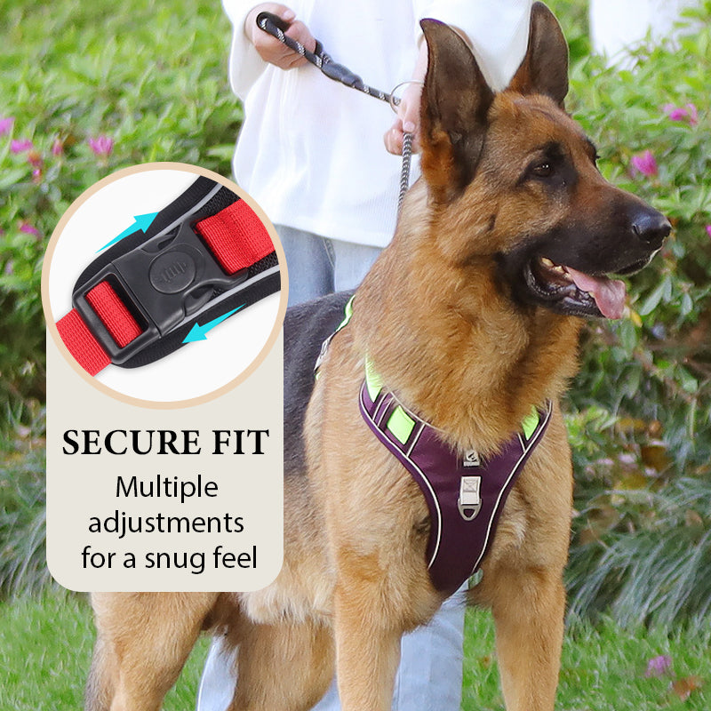 📢📢50% DE RÉDUCTION !! ⏰ Harnais Anti-Traction pour Chien avec Collier LED – Rembourrage Épais & Anneau en D Avant for des Promenades Sereines et Sécurisées ✨