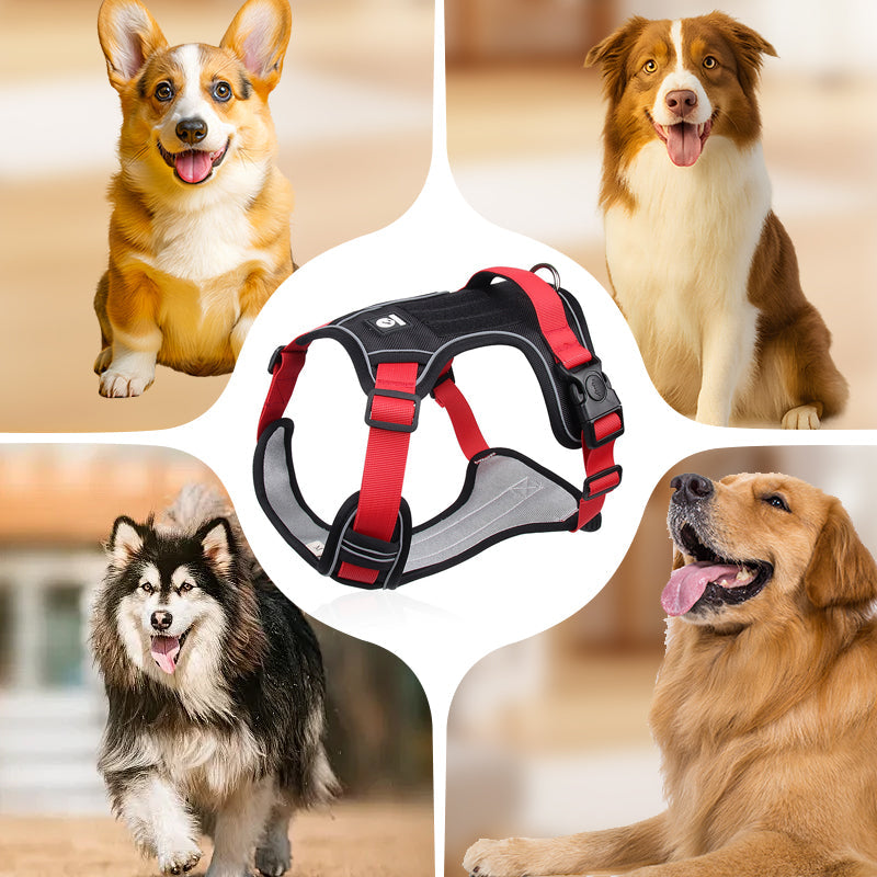 📢📢50% DE RÉDUCTION !! ⏰ Harnais Anti-Traction pour Chien avec Collier LED – Rembourrage Épais & Anneau en D Avant for des Promenades Sereines et Sécurisées ✨