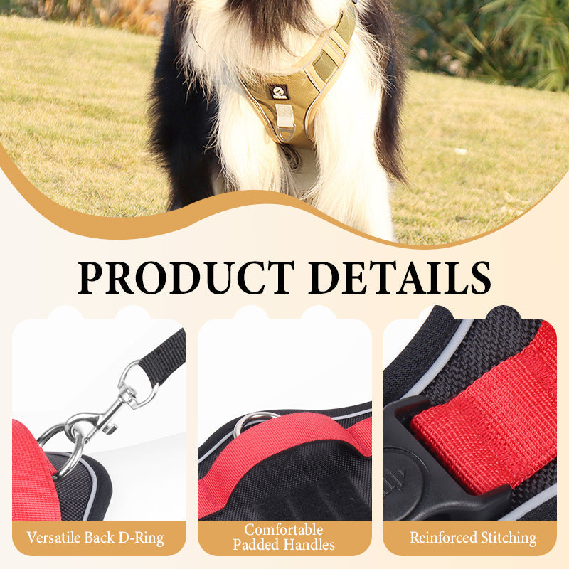 📢📢50% DE RÉDUCTION !! ⏰ Harnais Anti-Traction pour Chien avec Collier LED – Rembourrage Épais & Anneau en D Avant for des Promenades Sereines et Sécurisées ✨