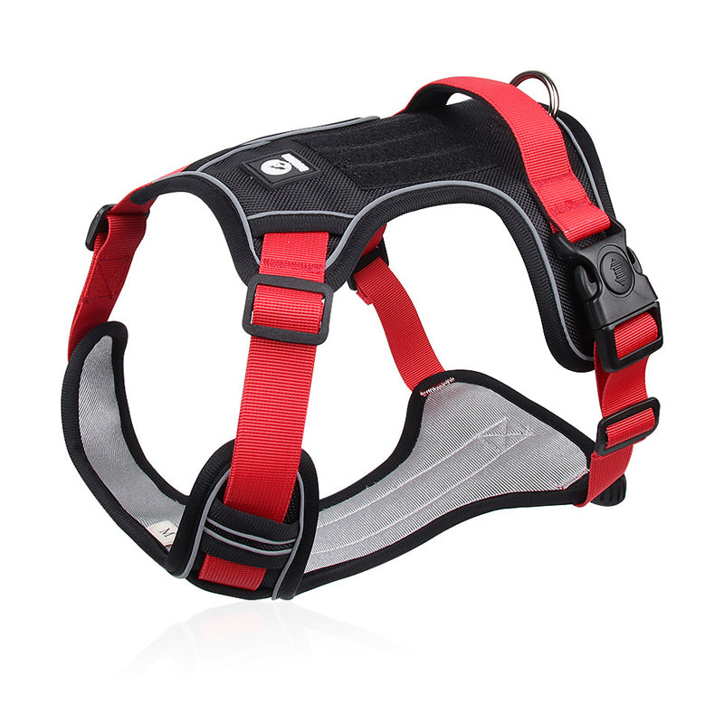 📢📢50% DE RÉDUCTION !! ⏰ Harnais Anti-Traction pour Chien avec Collier LED – Rembourrage Épais & Anneau en D Avant for des Promenades Sereines et Sécurisées ✨