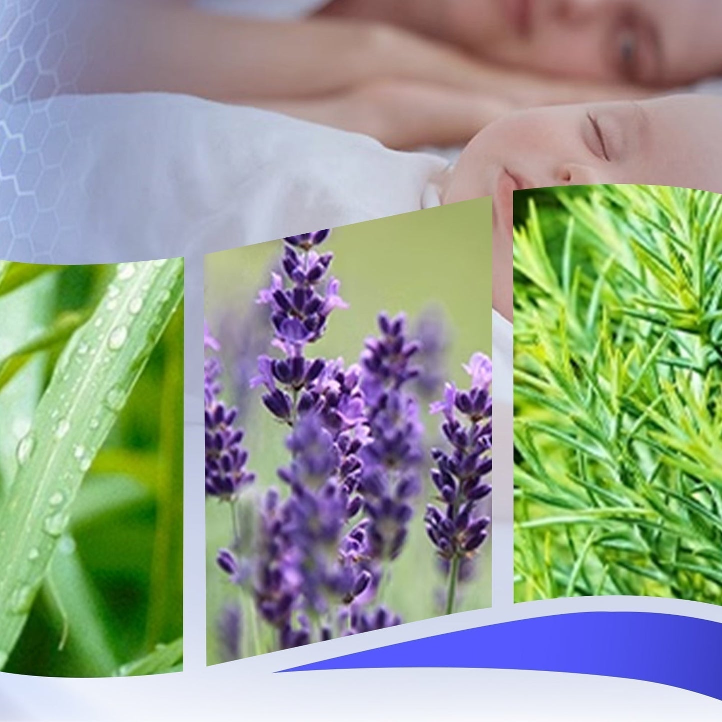 Crème anti-moustiques à l'huile essentielle de plantes