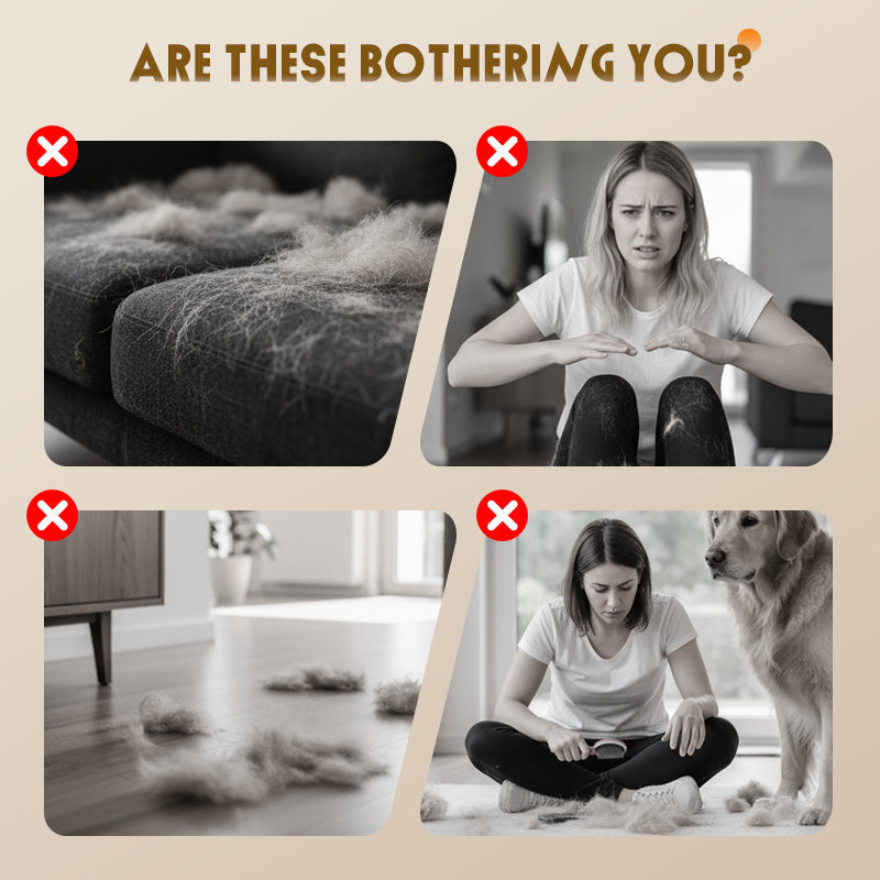 Kit d'aspiration tout-en-un pour le toilettage des animaux de compagnie