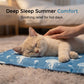 Lit d'été imperméable et résistant pour animaux de compagnie