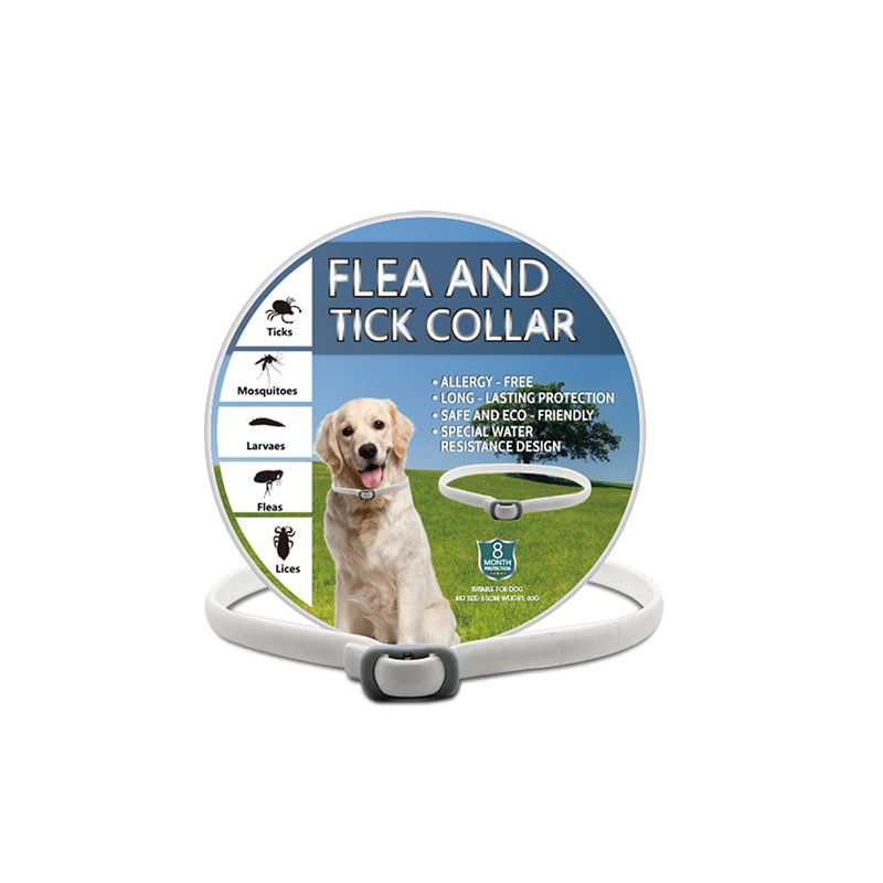 🐶🌿 Collier Anti-Insectes aux Huiles Essentielles