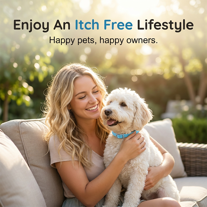 🐶🌿 Collier Anti-Insectes aux Huiles Essentielles