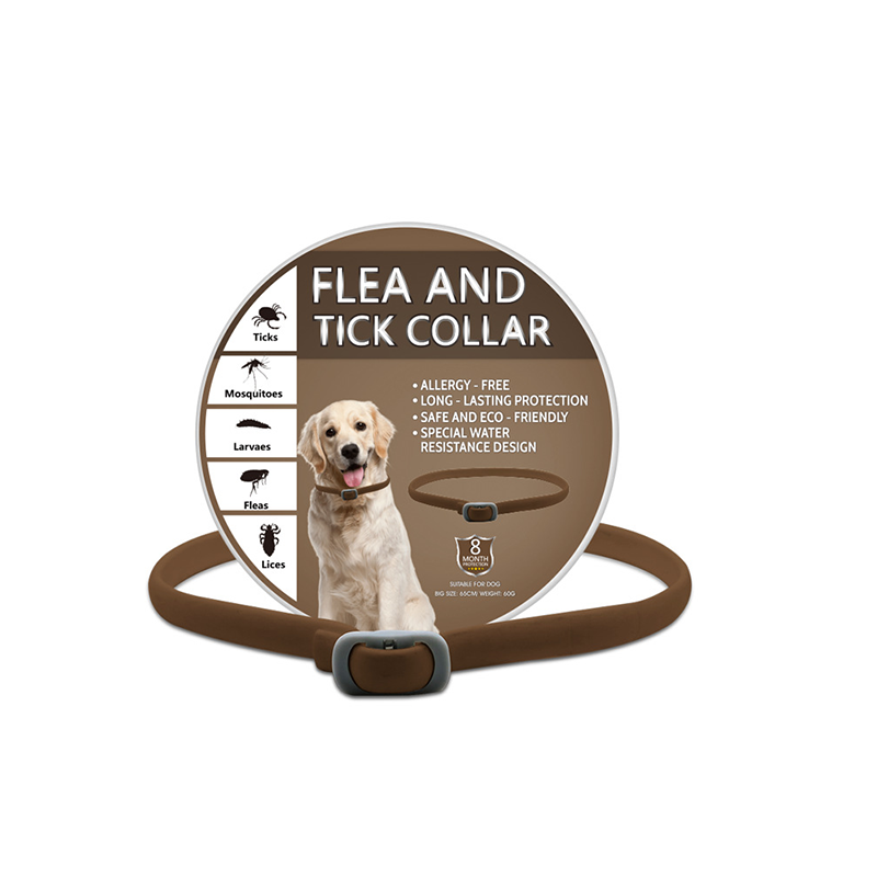 🐶🌿 Collier Anti-Insectes aux Huiles Essentielles