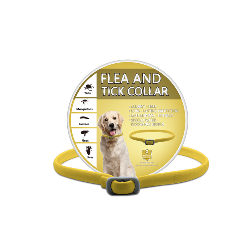 🐶🌿 Collier Anti-Insectes aux Huiles Essentielles