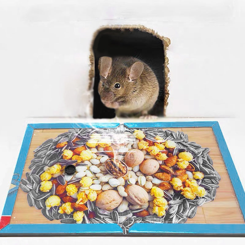 ⏳🔥50 % DE RÉDUCTION POUR UNE DURÉE LIMITÉE ! ⏰Piège à souris adhésif pour usage intérieur à la maiso