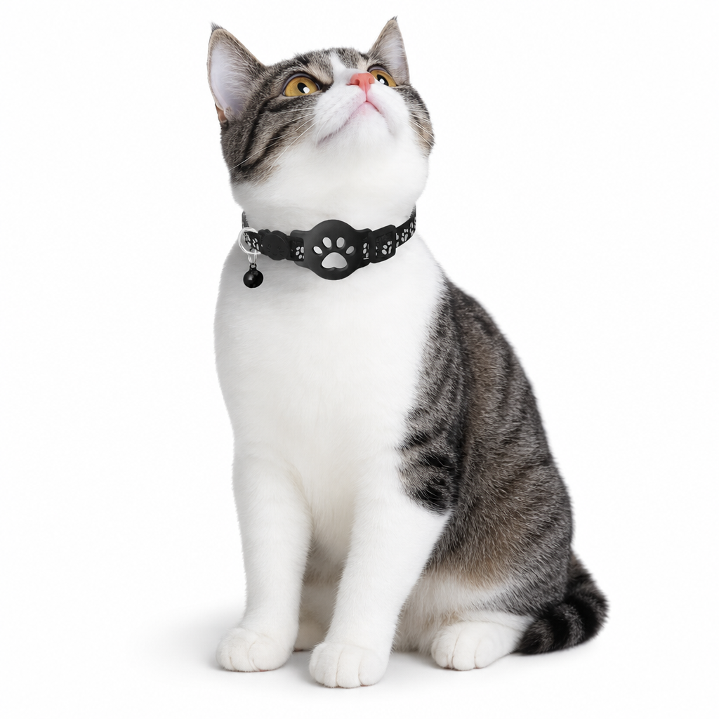 Collier Réfléchissant pour Chat avec Traceur Connecté Étanche