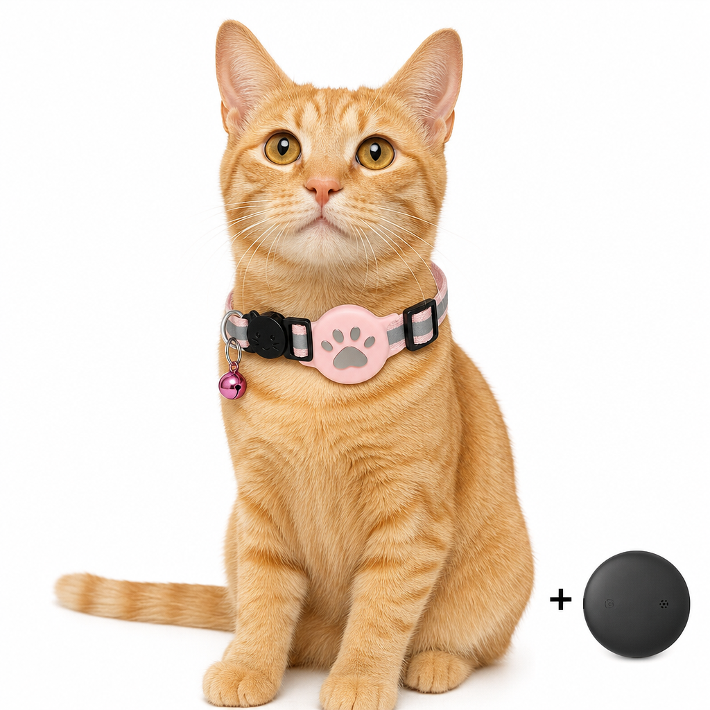 Collier Réfléchissant pour Chat avec Traceur Connecté Étanche